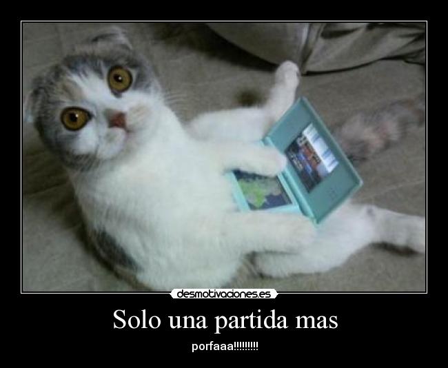 carteles gatos desmotivaciones