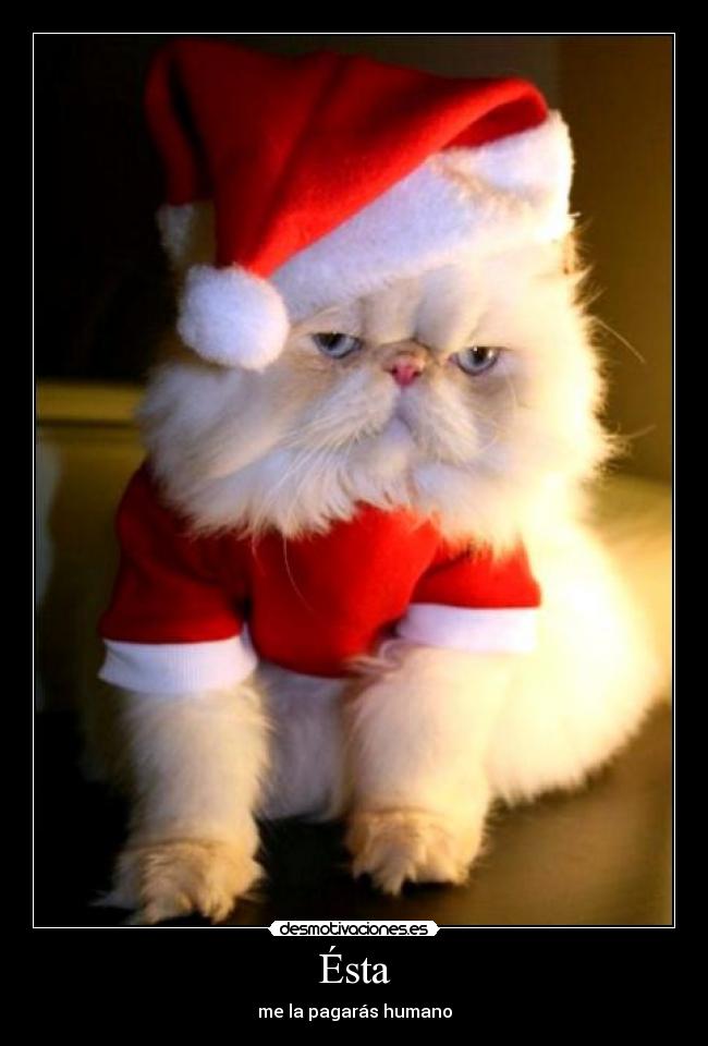 Ésta - me la pagarás humano
