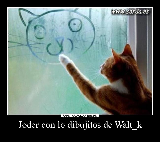 carteles gatos desmotivaciones