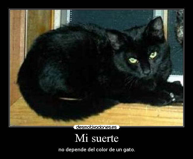 Mi suerte -