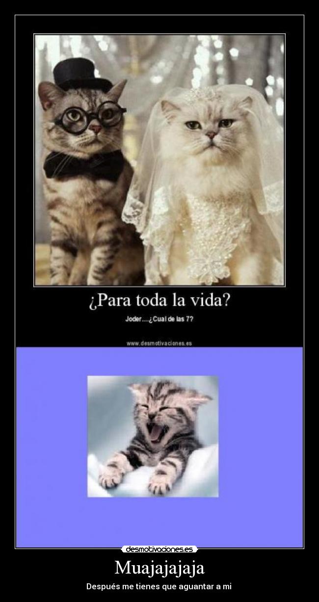 carteles desmotivaciones