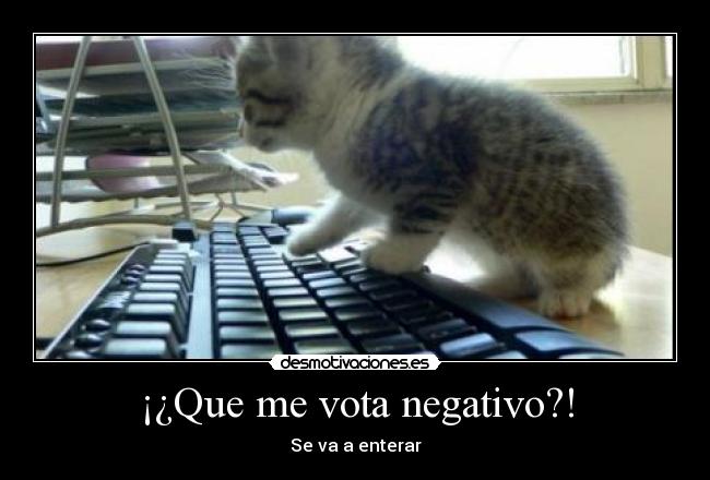 ¡¿Que me vota negativo?! - 