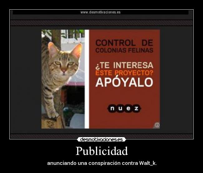 Publicidad -