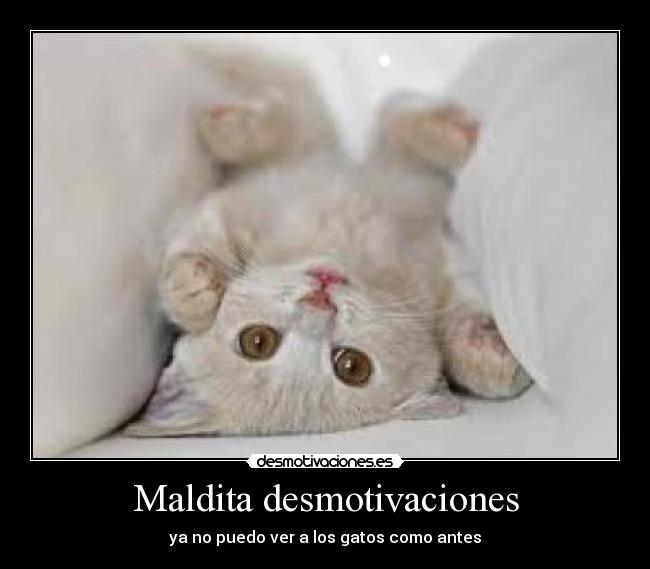 Maldita desmotivaciones - 