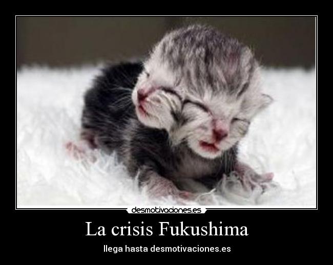 La crisis Fukushima - llega hasta desmotivaciones.es