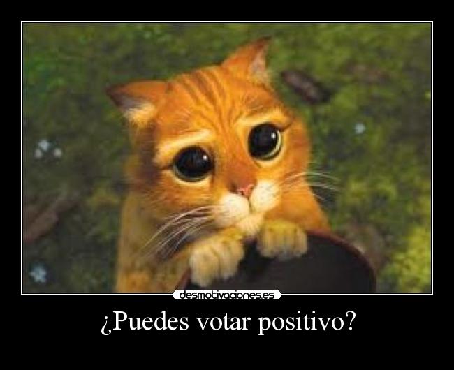 ¿Puedes votar positivo? - 