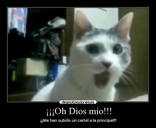 ¡¡¡Oh Dios mio!!! -