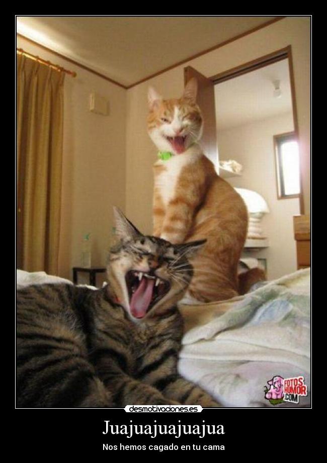 Juajuajuajuajua - Nos hemos cagado en tu cama