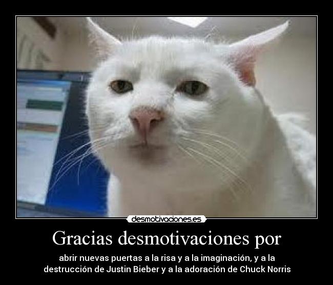 Gracias desmotivaciones por -