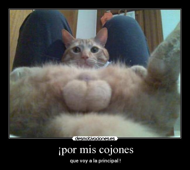 ¡por mis cojones -