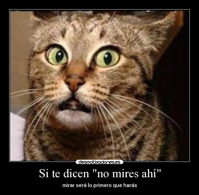 Si te dicen no mires ahí - mirar será lo primero que harás