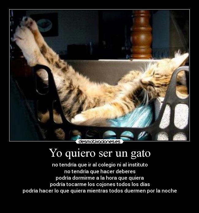 Yo quiero ser un gato - no tendría que ir al colegio ni al instituto
no tendría que hacer deberes
podría dormirme a la hora que quiera
podría tocarme los cojones todos los días
podría hacer lo que quiera mientras todos duermen por la noche

