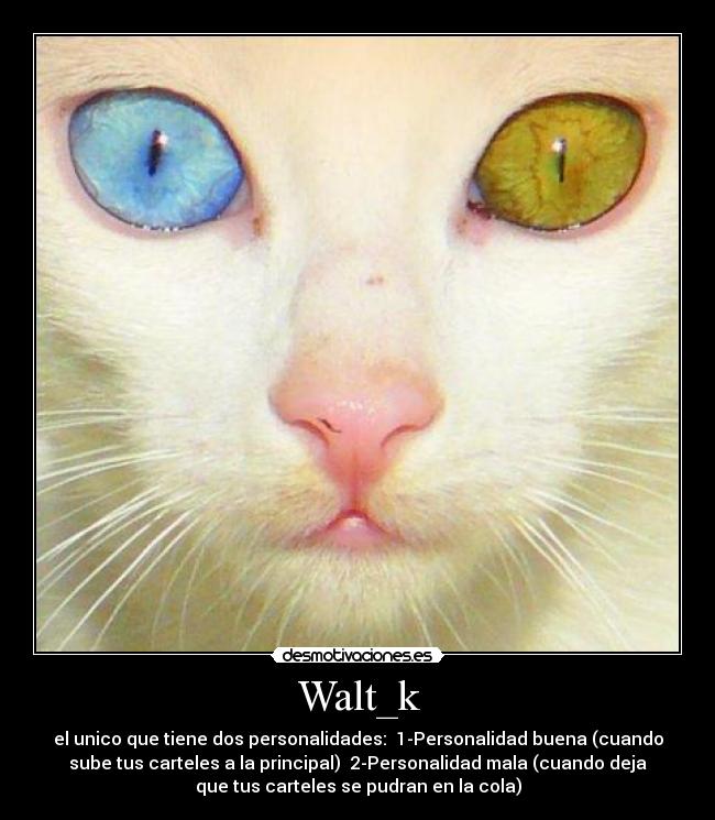 Walt_k -