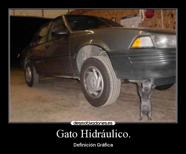 Gato Hidráulico. - Definición Gráfica