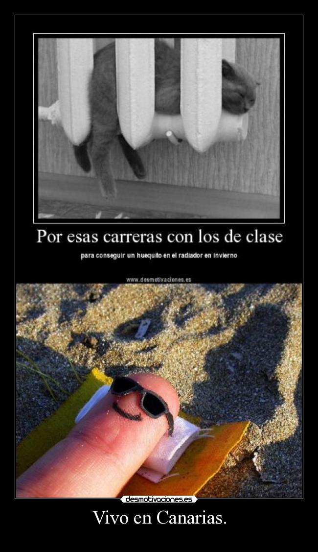 Vivo en Canarias. -