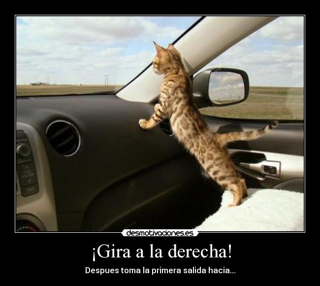 ¡Gira a la derecha! - Despues toma la primera salida hacia...