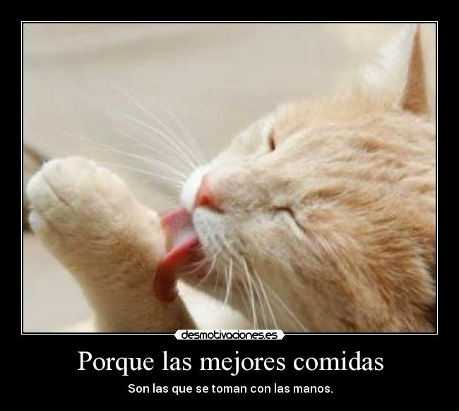 Porque las mejores comidas -