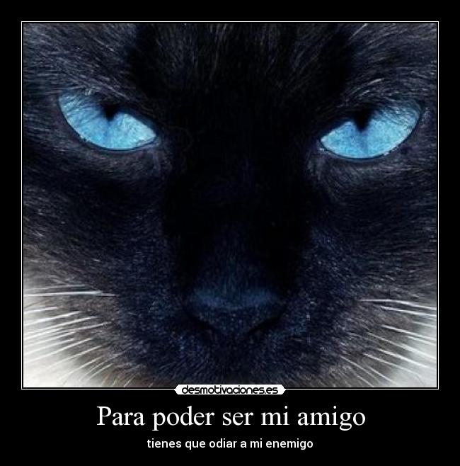 Para poder ser mi amigo -