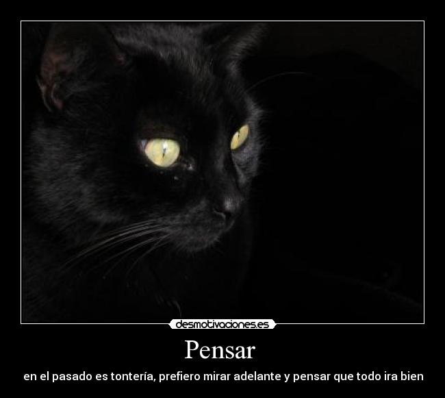 Pensar  - 