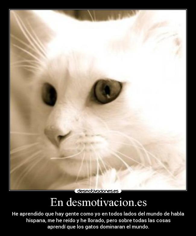 En desmotivacion.es - He aprendido que hay gente como yo en todos lados del mundo de habla
hispana, me he reído y he llorado, pero sobre todas las cosas
aprendí que los gatos dominaran el mundo.