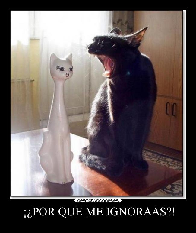 ¡¿POR QUE ME IGNORAAS?! -