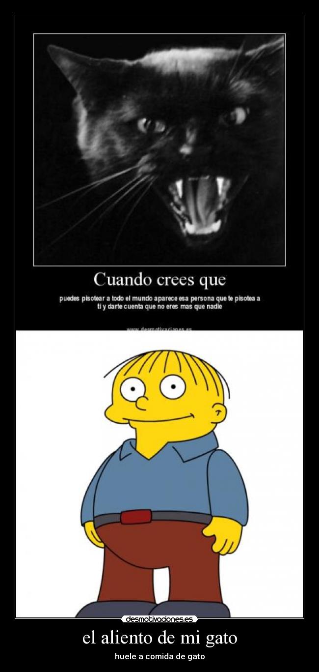 el aliento de mi gato -