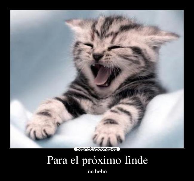 Para el próximo finde -