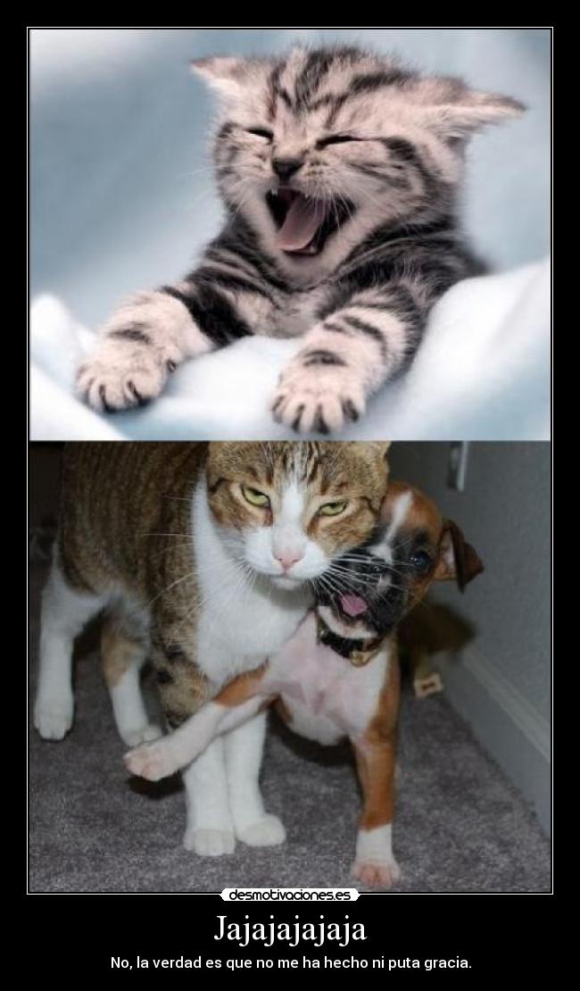 Jajajajajaja - No, la verdad es que no me ha hecho ni puta gracia.