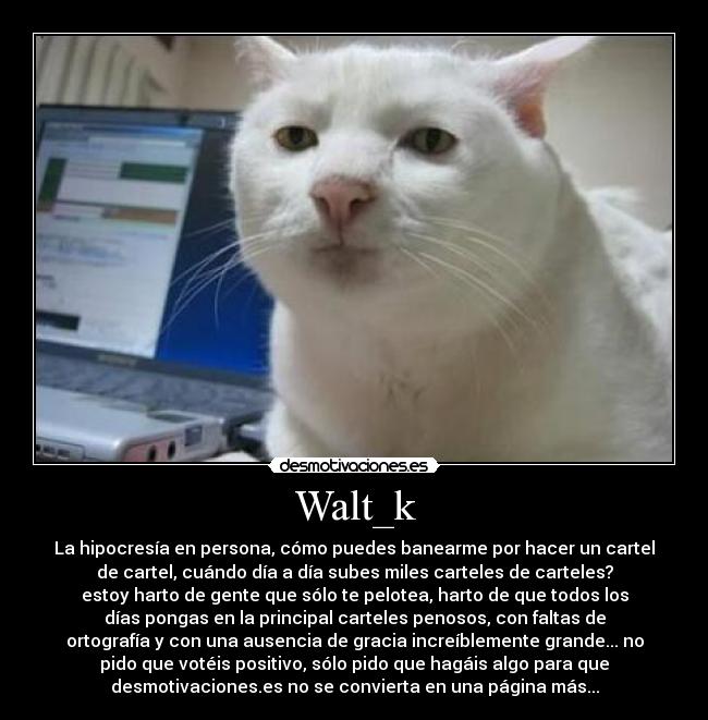 Walt_k -