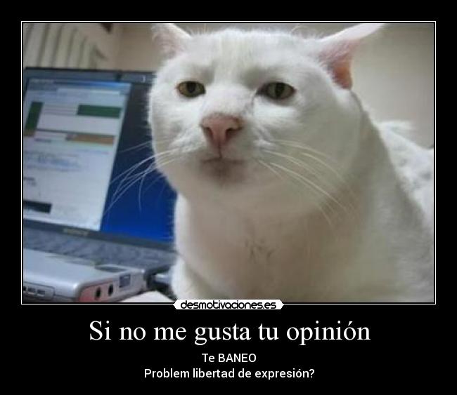 Si no me gusta tu opinión - Te BANEO
Problem libertad de expresión?