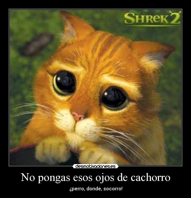 No pongas esos ojos de cachorro - ¿perro, donde, socorro!
