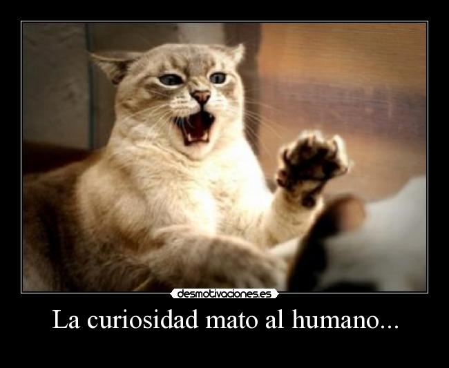 La curiosidad mato al humano... -