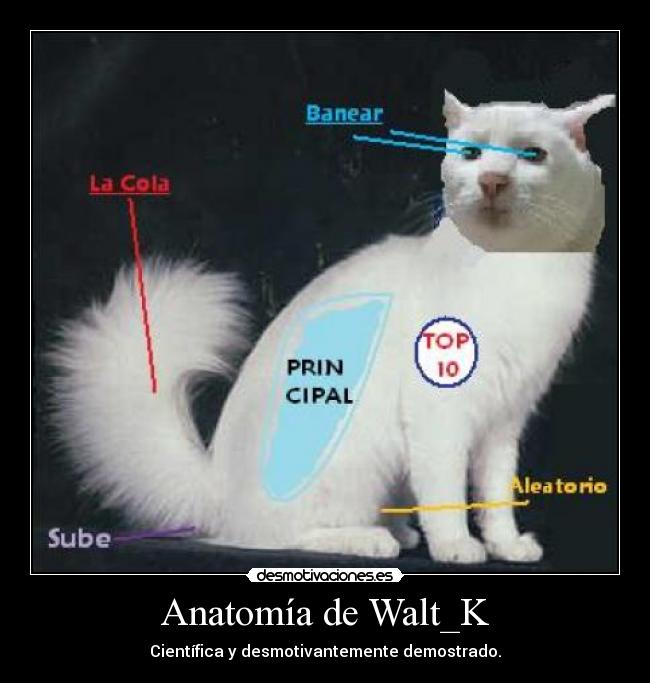 Anatomía de Walt_K - Científica y desmotivantemente demostrado.