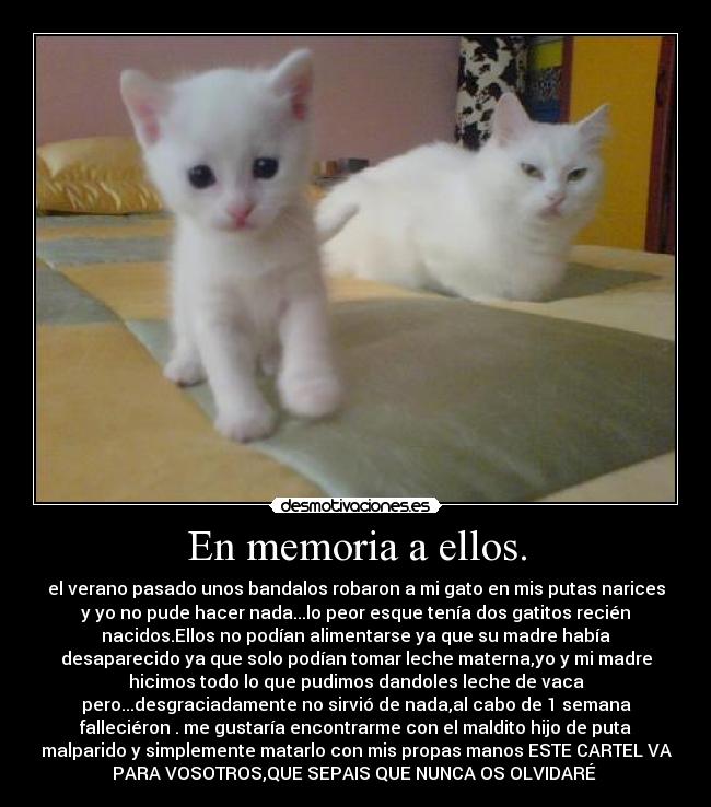 En memoria a ellos. -