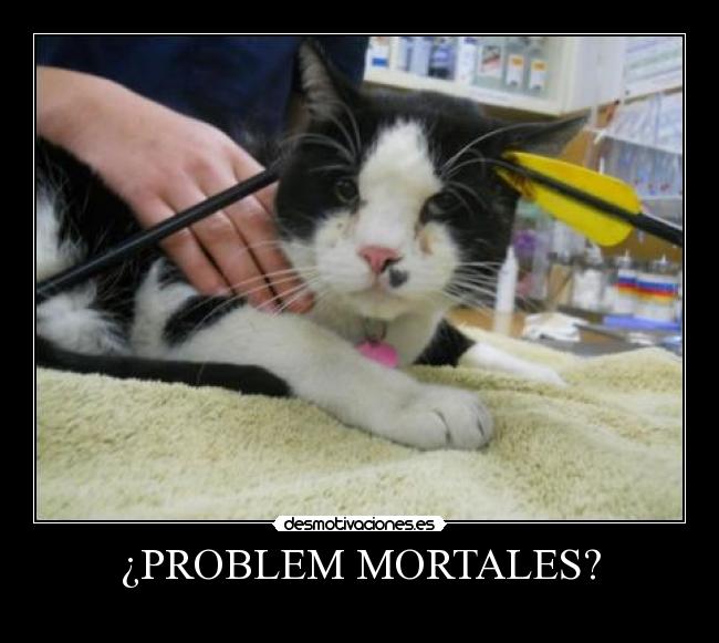 ¿PROBLEM MORTALES? - 