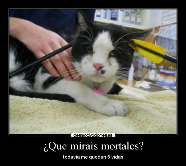 ¿Que mirais mortales? -