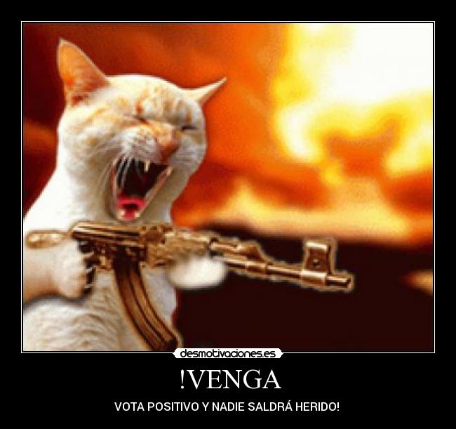!VENGA -