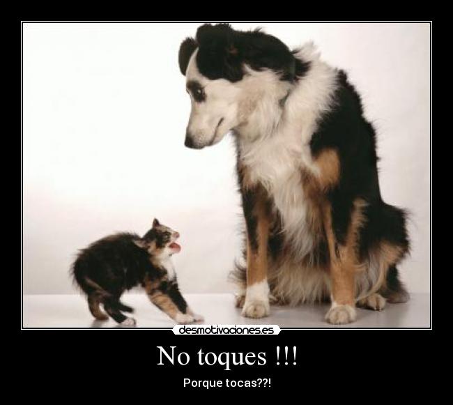 carteles  desmotivaciones