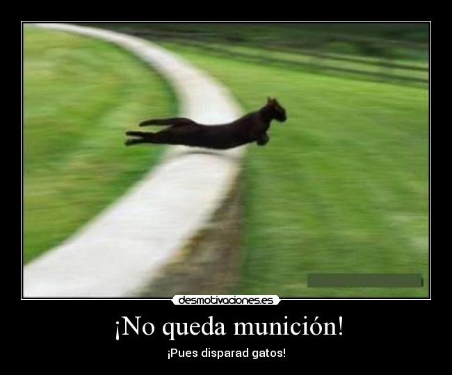¡No queda munición! - 