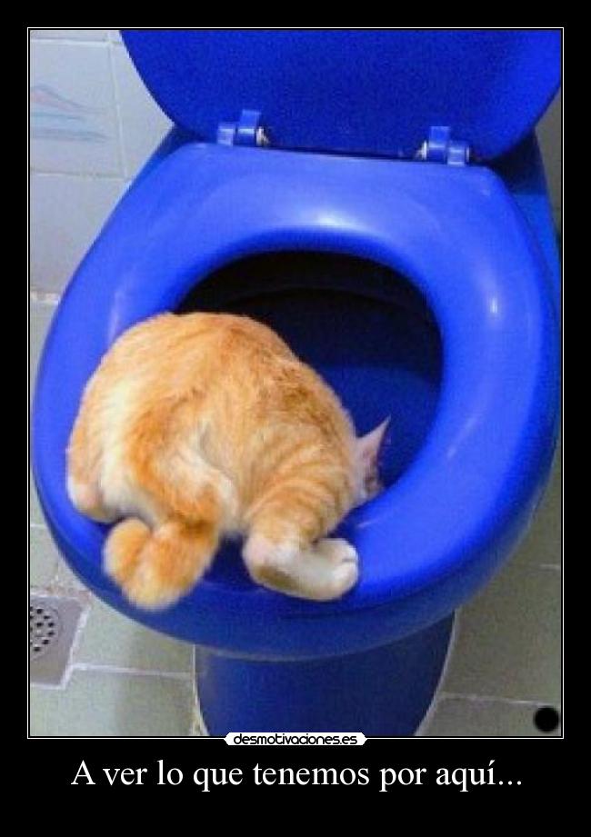 A ver lo que tenemos por aquí... - 