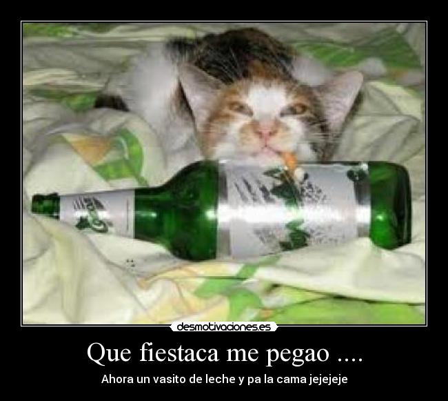 Que fiestaca me pegao .... - Ahora un vasito de leche y pa la cama jejejeje