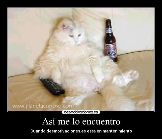 Así me lo encuentro - Cuando desmotivaciones.es esta en mantenimiento