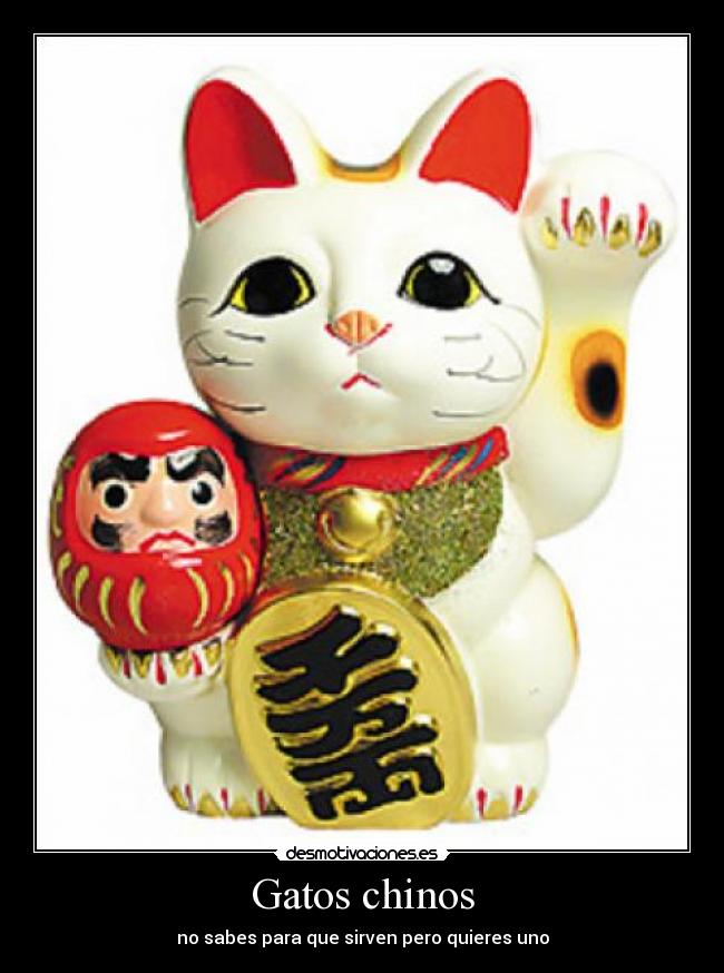 carteles gatos gatos chinos desmotivaciones