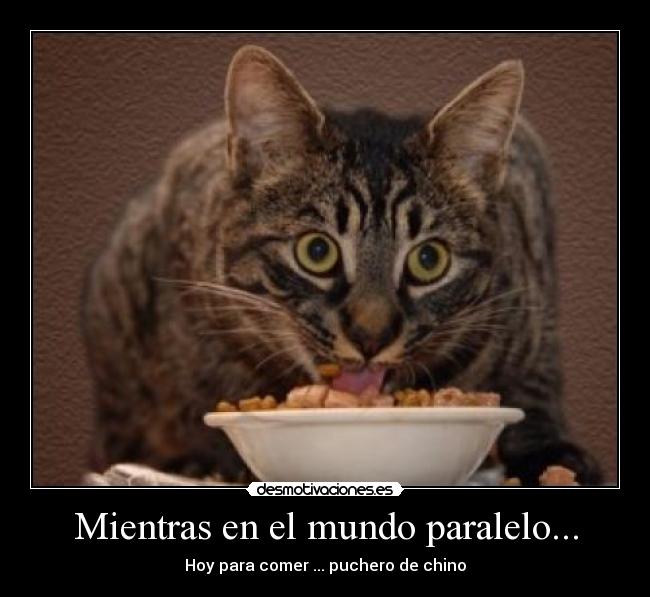 Mientras en el mundo paralelo... -