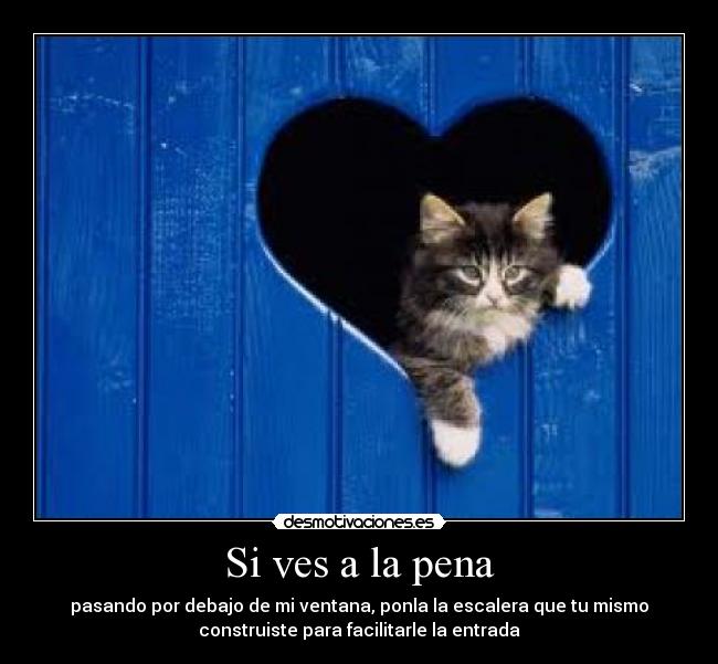 Si ves a la pena - 