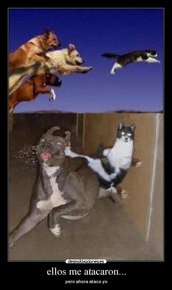 ellos me atacaron... - pero ahora ataco yo