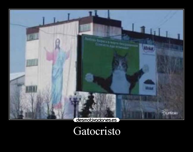 Gatocristo -