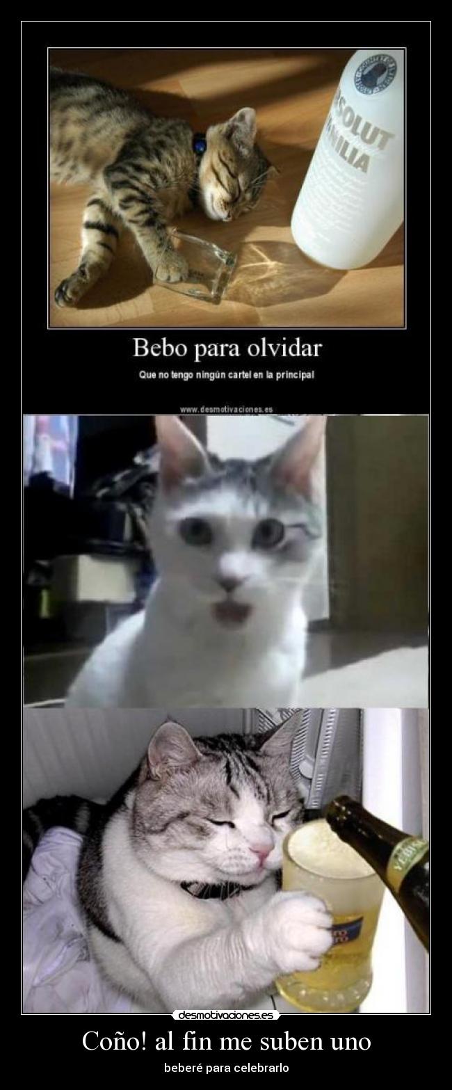 Coño! al fin me suben uno -