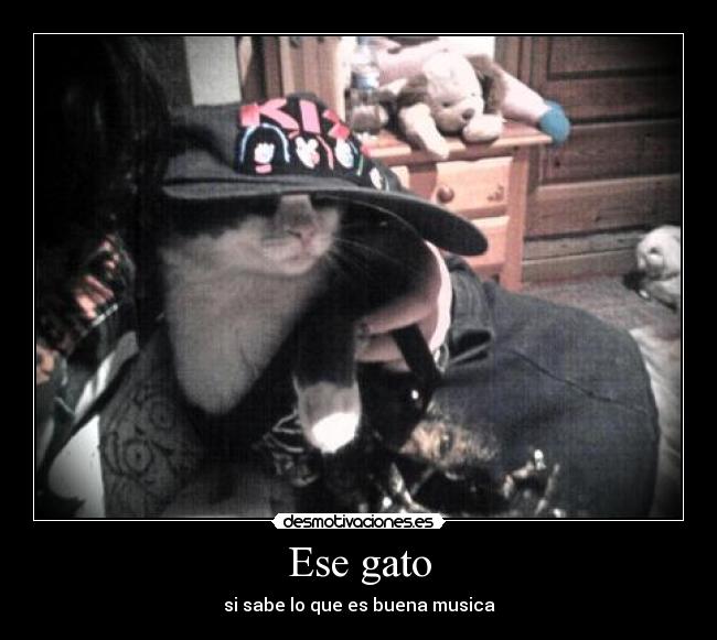 Ese gato - si sabe lo que es buena musica
