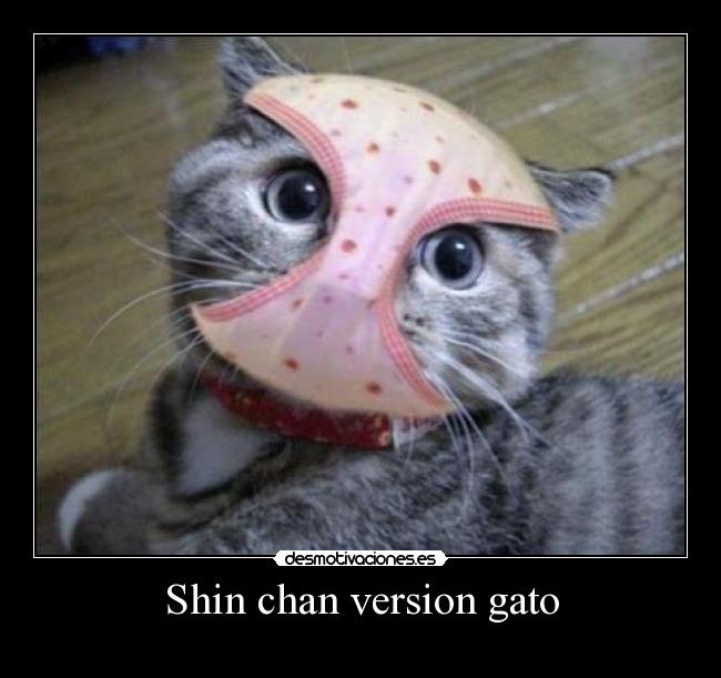 Shin chan version gato -